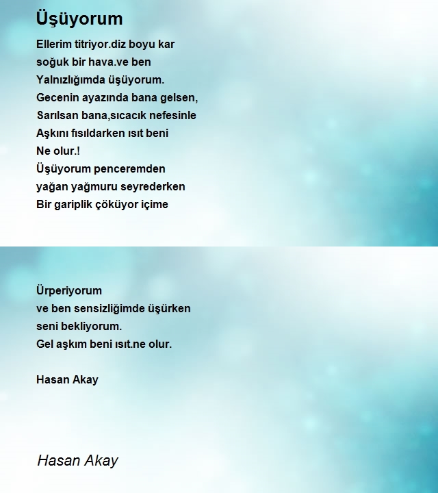 Hasan Akay