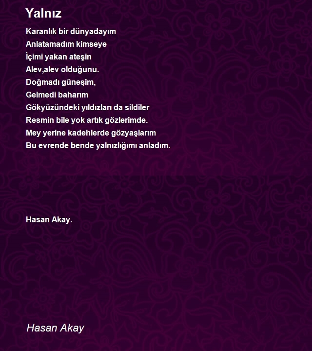 Hasan Akay