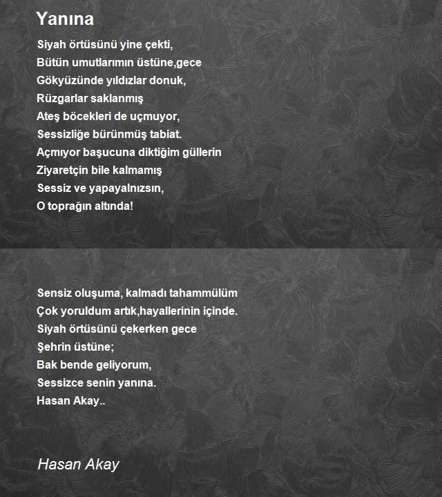 Hasan Akay