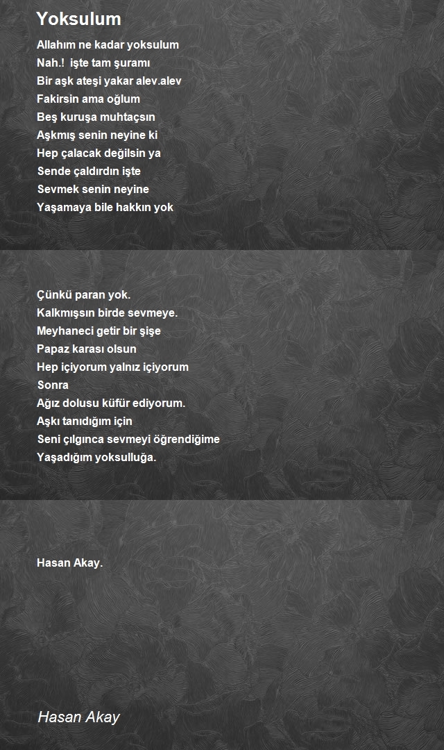 Hasan Akay