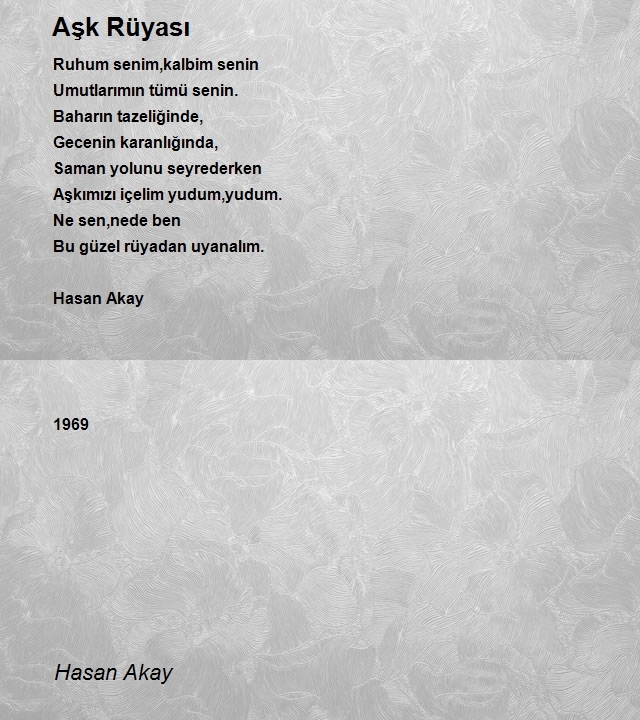 Hasan Akay