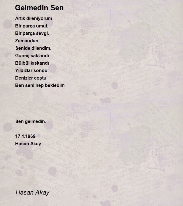 Hasan Akay