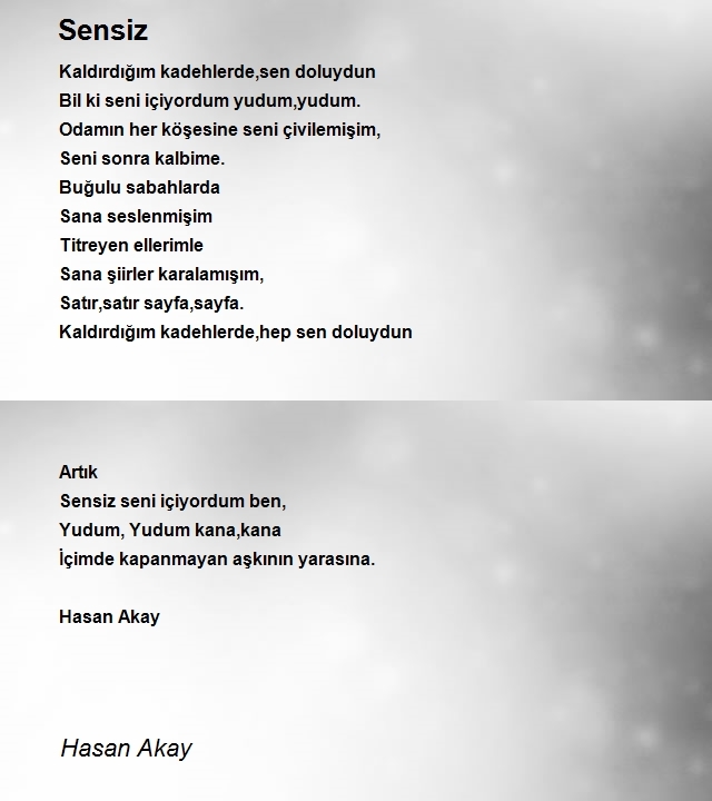 Hasan Akay