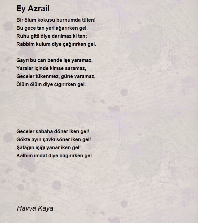 Havva Kaya