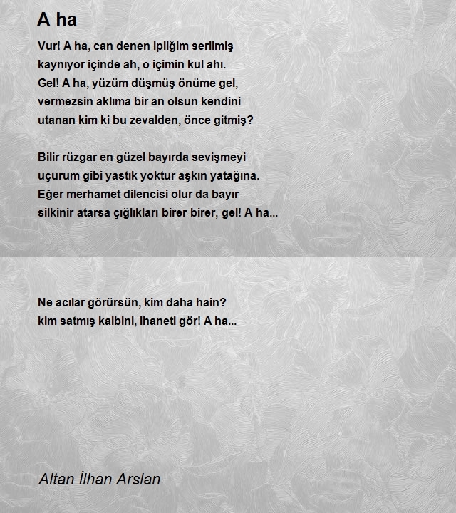 Altan İlhan Arslan