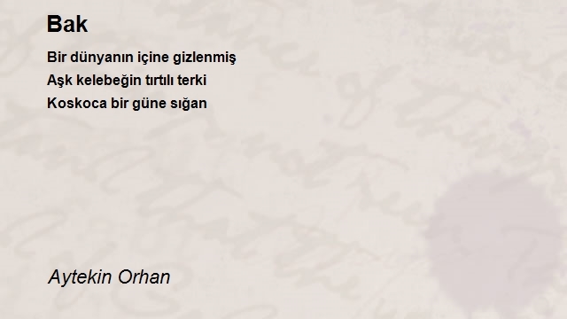 Aytekin Orhan