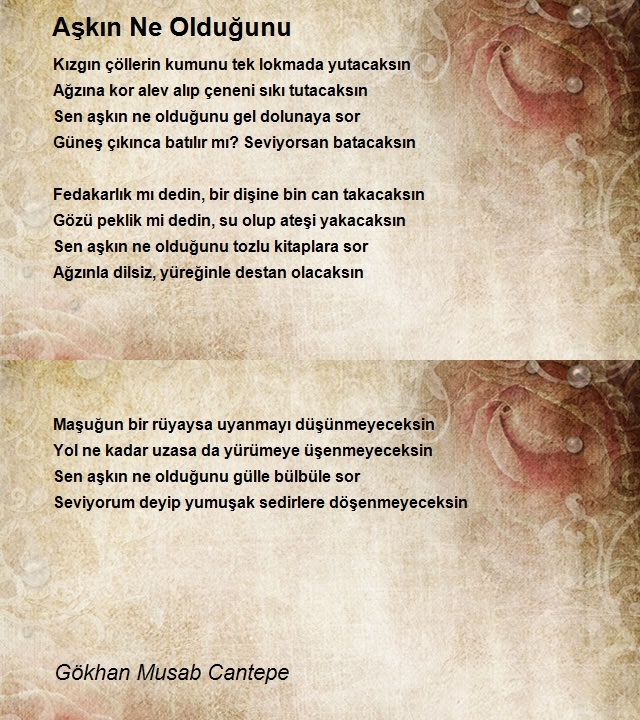 Gökhan Musab Cantepe