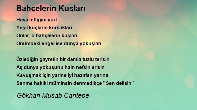 Gökhan Musab Cantepe