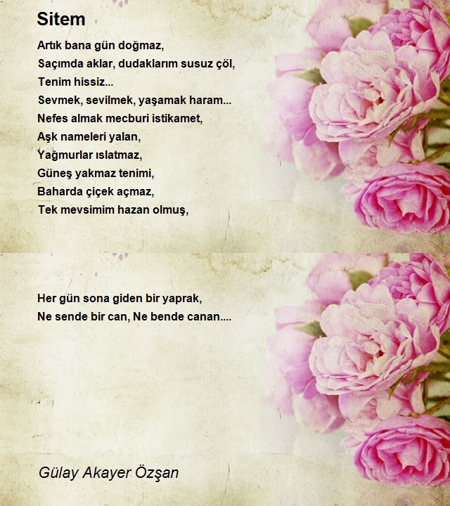 Gülay Akayer Özşan