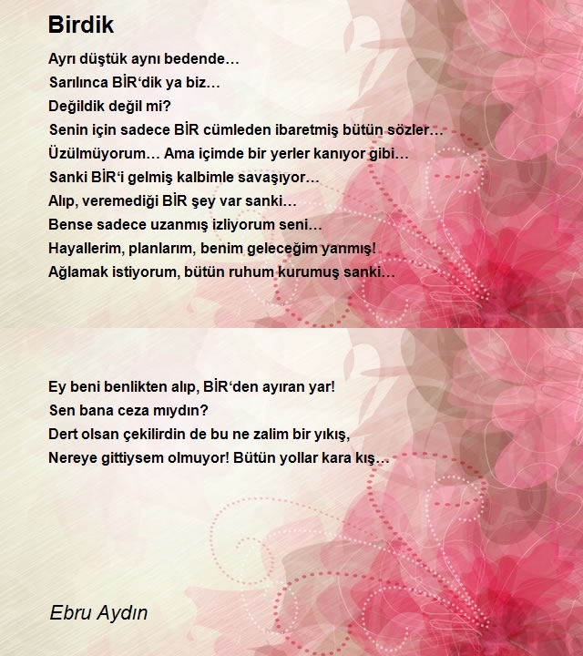 Ebru Aydın