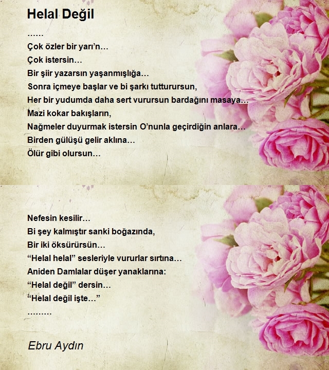 Ebru Aydın