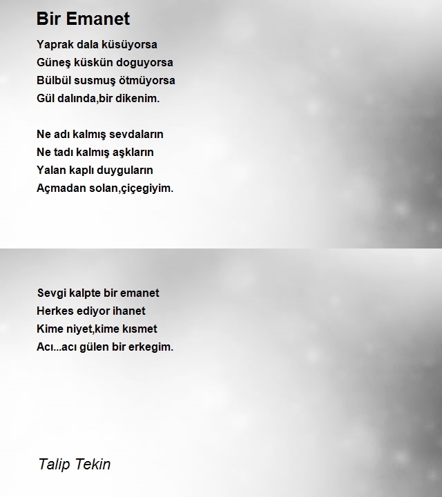 Talip Tekin