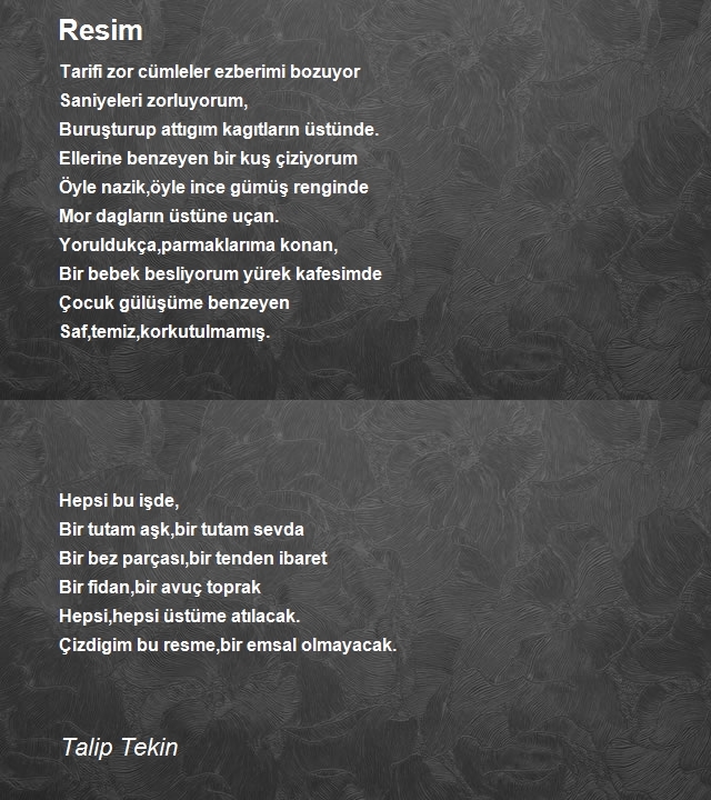 Talip Tekin