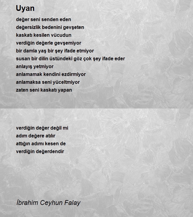 İbrahim Ceyhun Falay