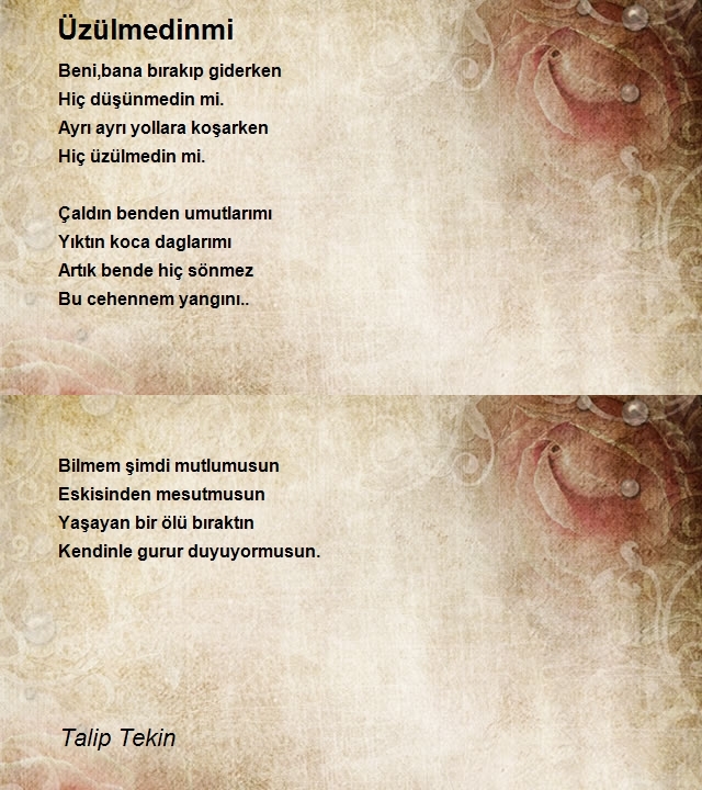 Talip Tekin