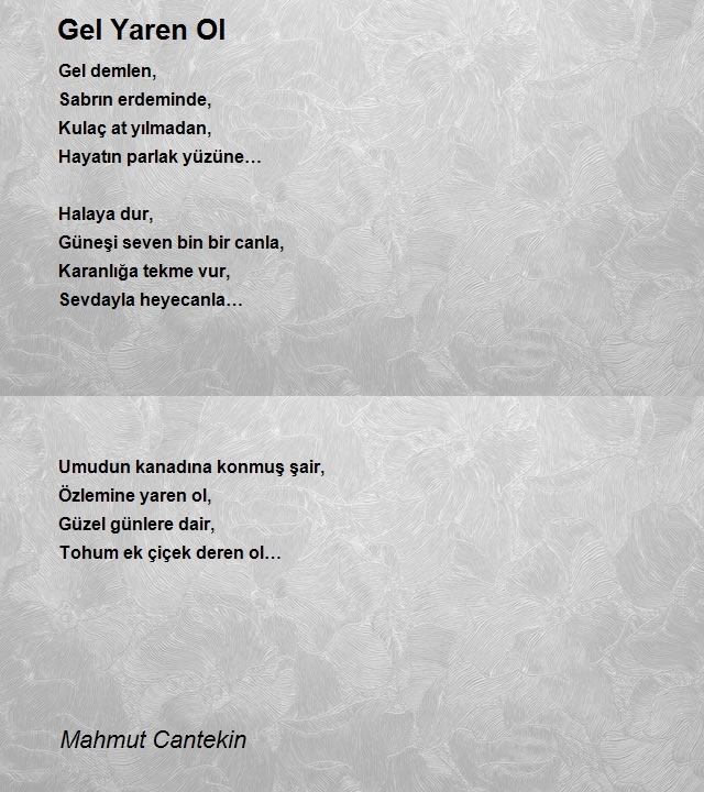 Mahmut Cantekin