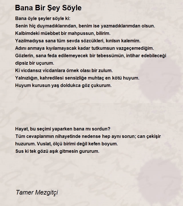 Tamer Mezgitçi