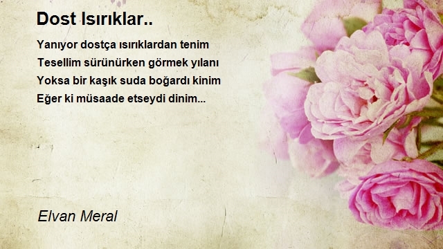 Elvan Meral