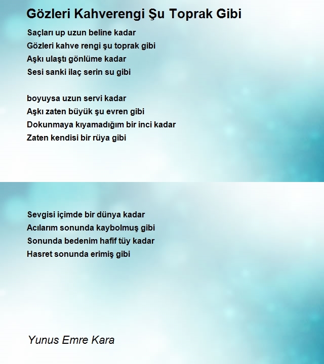 Yunus Emre Kara