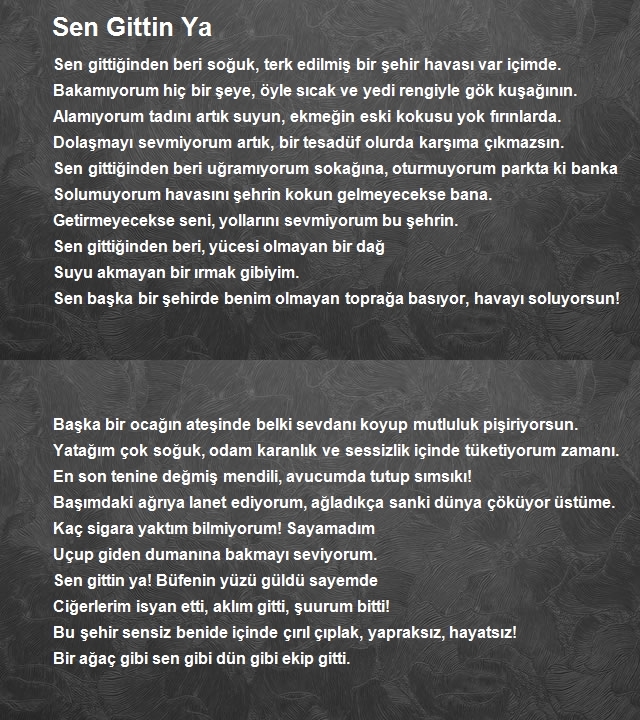 Altan İlhan Arslan