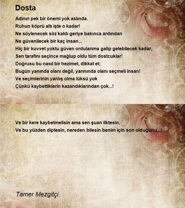 Tamer Mezgitçi