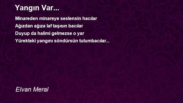 Elvan Meral