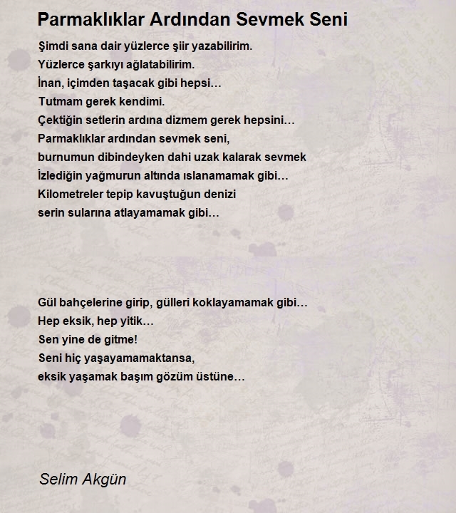 Selim Akgün