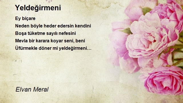 Elvan Meral