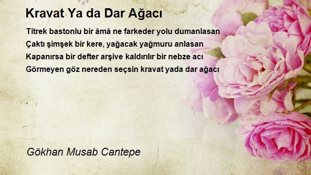 Gökhan Musab Cantepe