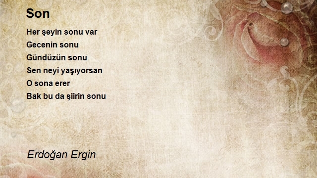 Erdoğan Ergin