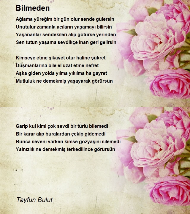 Tayfun Bulut