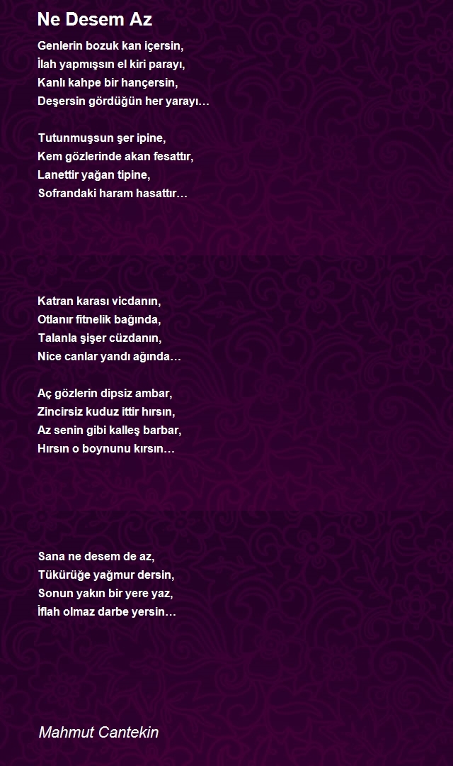 Mahmut Cantekin