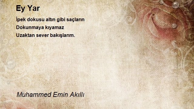 Muhammed Emin Akıllı