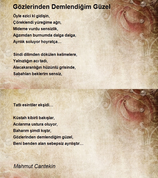 Mahmut Cantekin