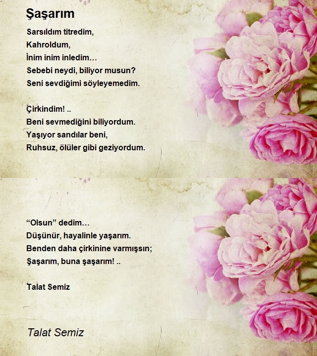 Talat Semiz