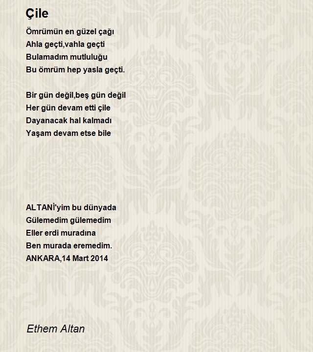 Ethem Altan