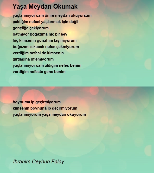 İbrahim Ceyhun Falay