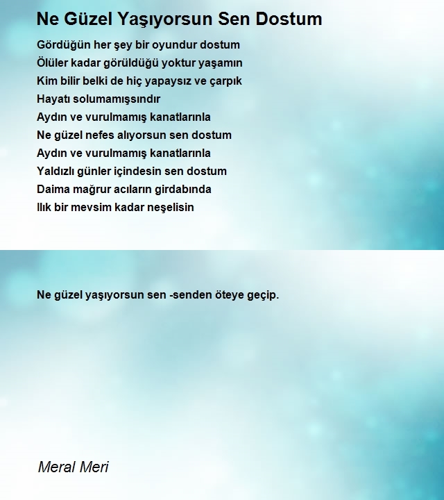 Meral Meri