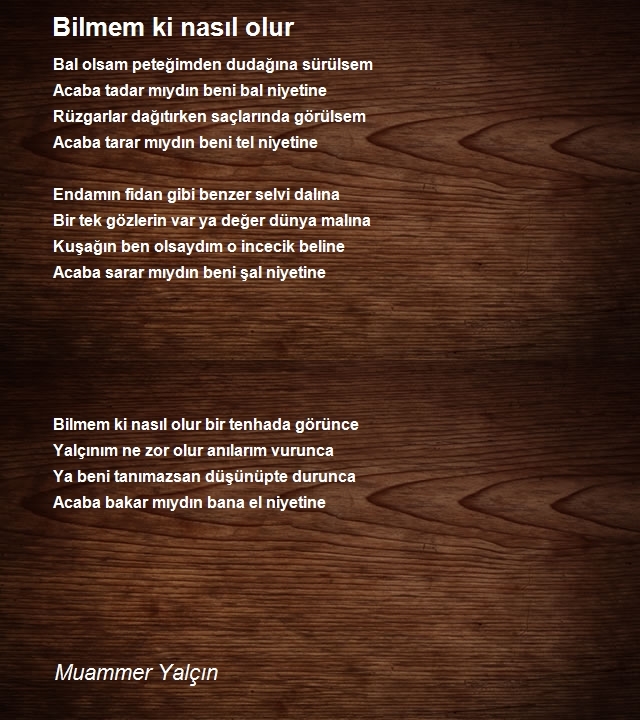 Muammer Yalçın