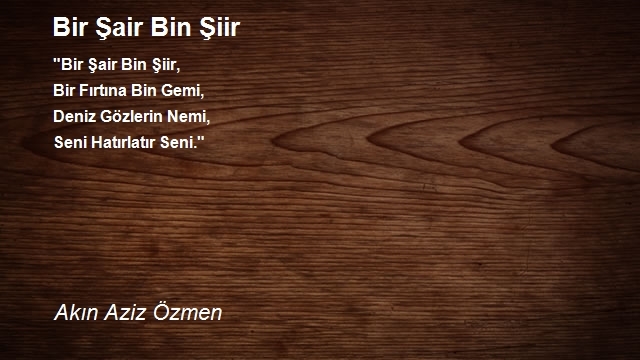 Akın Aziz Özmen