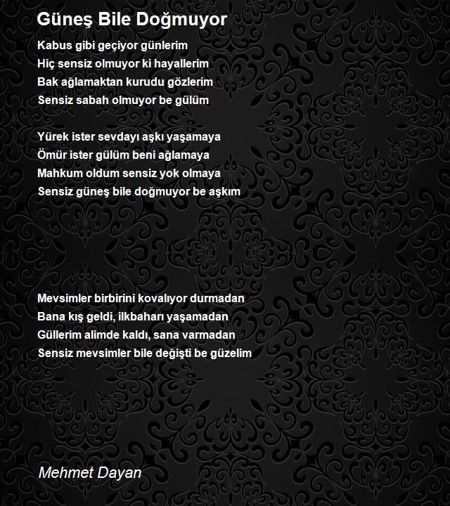 Mehmet Dayan