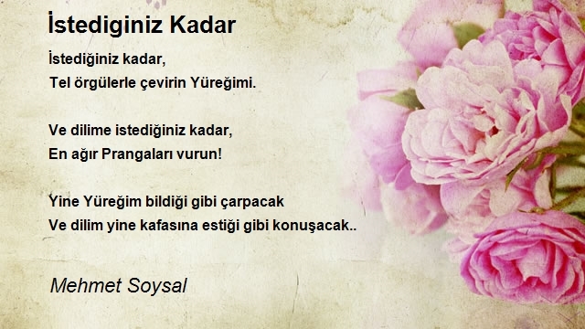 Mehmet Soysal