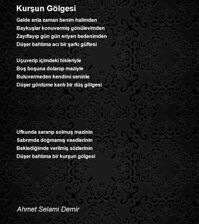 Ahmet Selami Demir