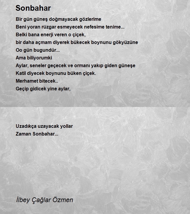 İlbey Çağlar Özmen