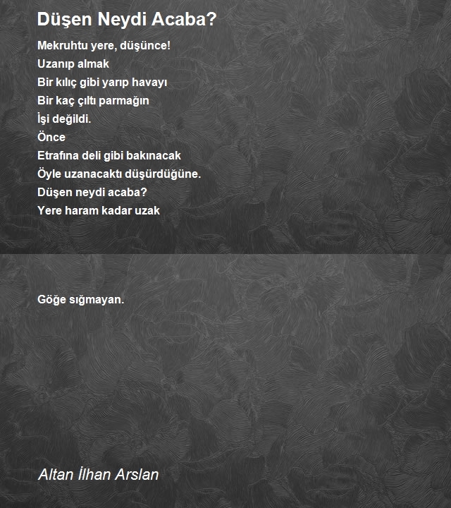 Altan İlhan Arslan