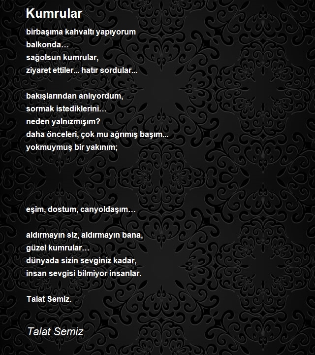 Talat Semiz