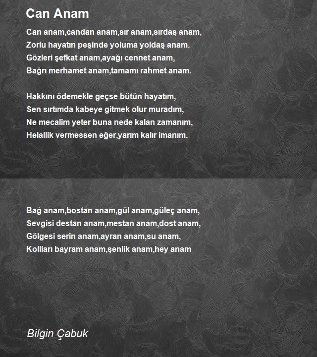 Bilgin Çabuk