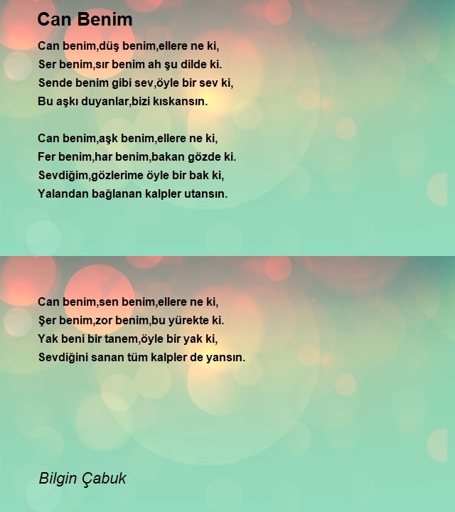 Bilgin Çabuk