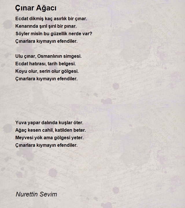 Nurettin Sevim