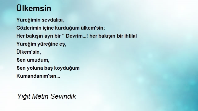 Yiğit Metin Sevindik